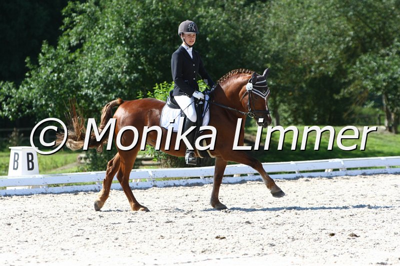 109M6955_Prinz_Dressur L_Mannschaft.JPG